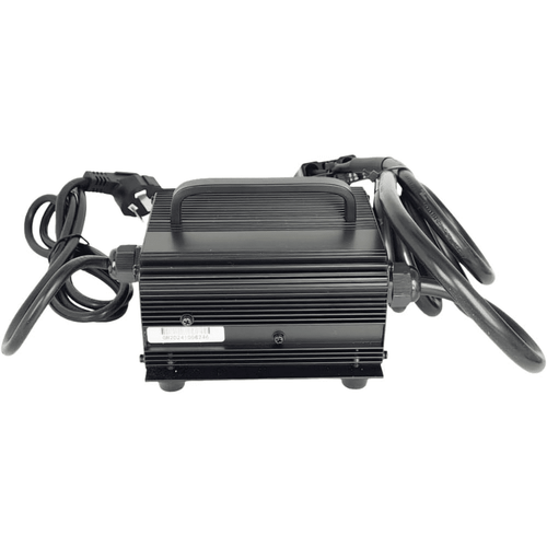 Raelon Standard Lithium Battery Charger SWCH24V10A-B-75X 24V 10A