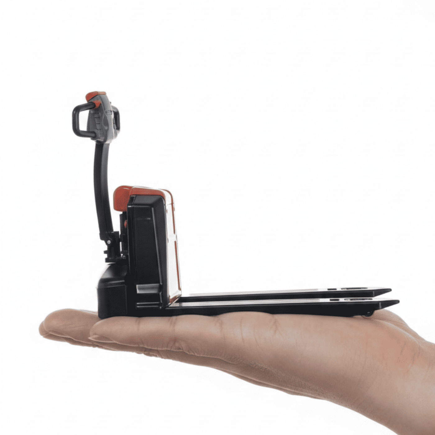 Raelon gallery image