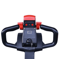 Raelon EPL205 electric pallet jack tiller handle close up with key switch and controls